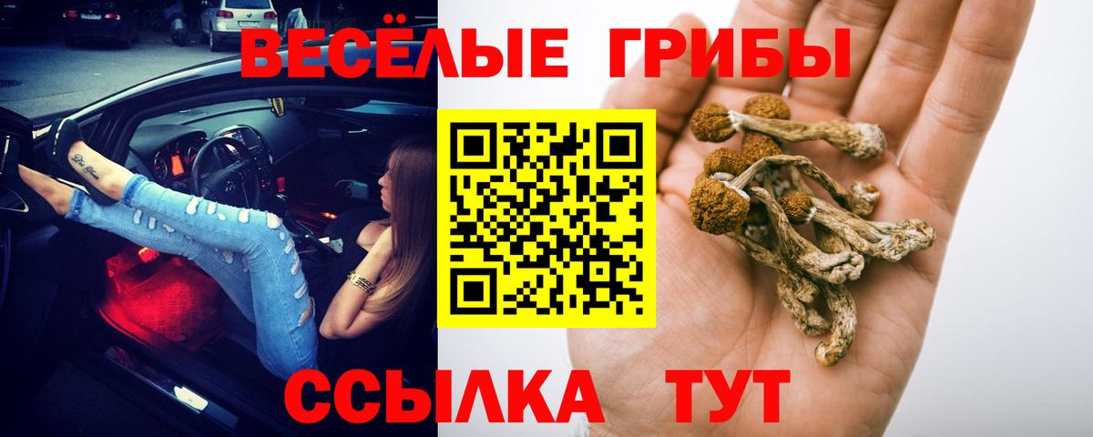 Псилоцибиновые грибы Psilocybine cubensis  купить  цена  Махачкала  Вход с VPN 