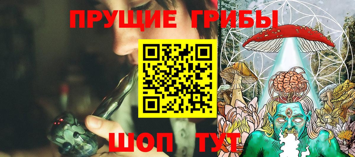 Галлюциногенные грибы Psilocybe Махачкала