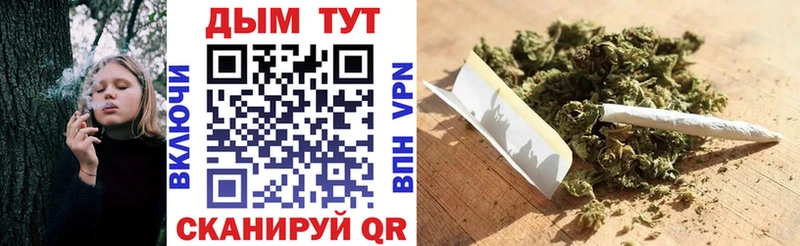 Конопля индика  где продают   Махачкала 